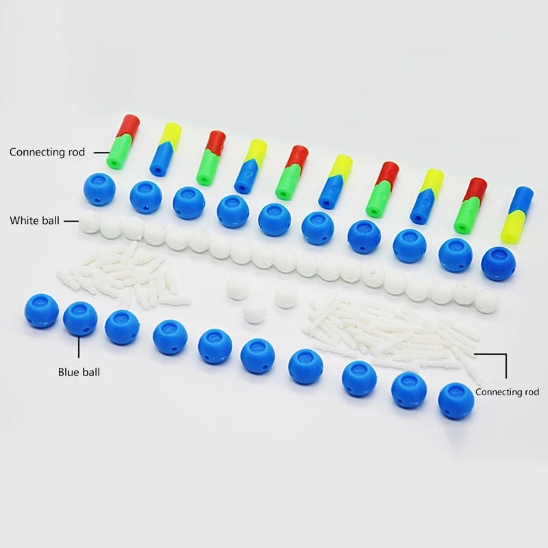 DNA Double Model Practical DNA Model Teaching Instrument Model for School D5QC