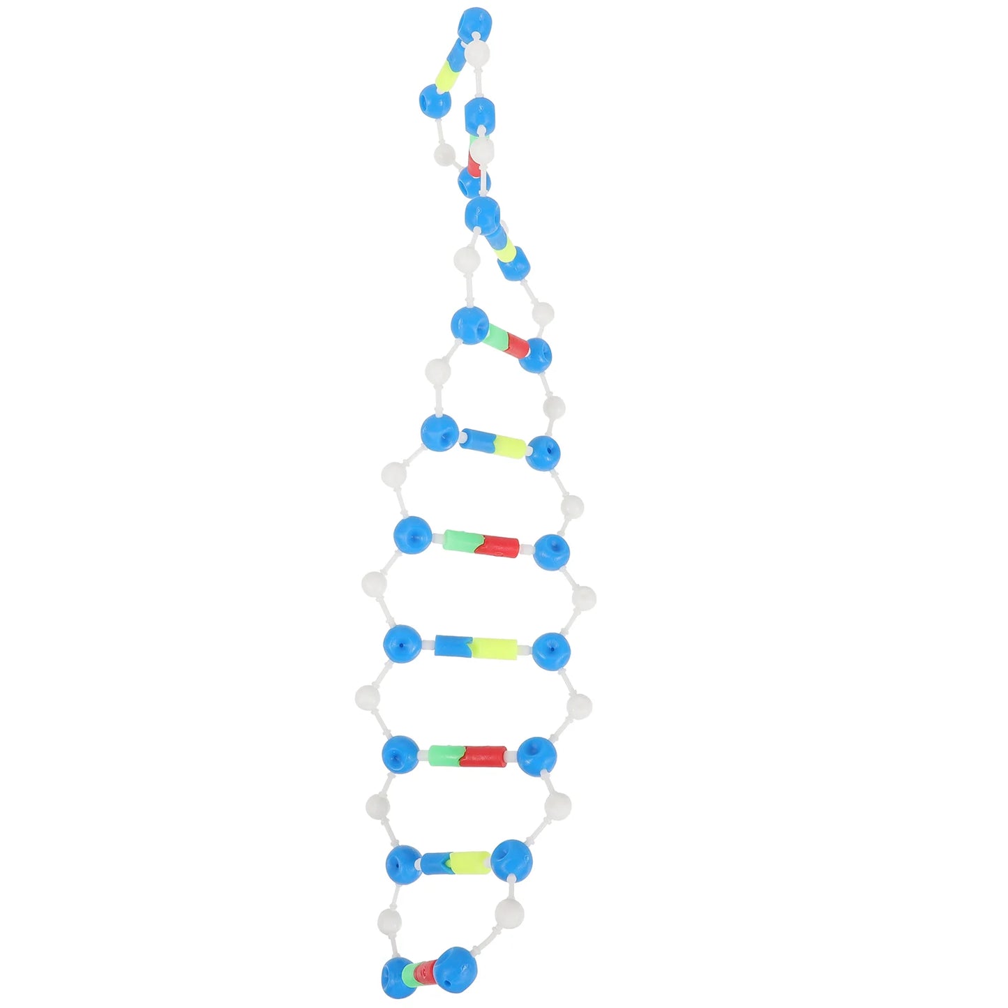 Dna Double Helix Model Components Assembling Stem Science Kits Molecular Aids Self-assembling