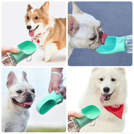 Portable Drinking Bottle