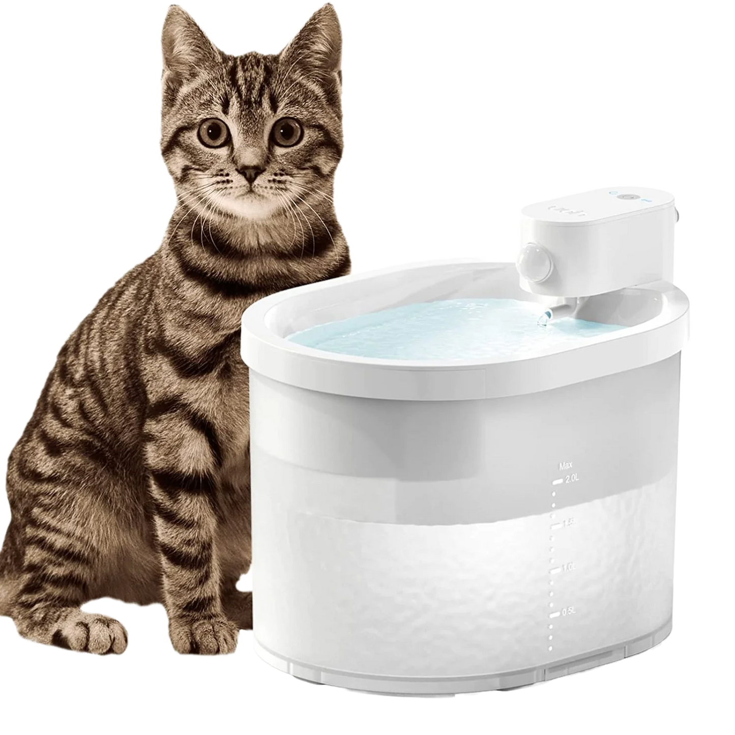 Cati™ Wireless Cat Water Fountain