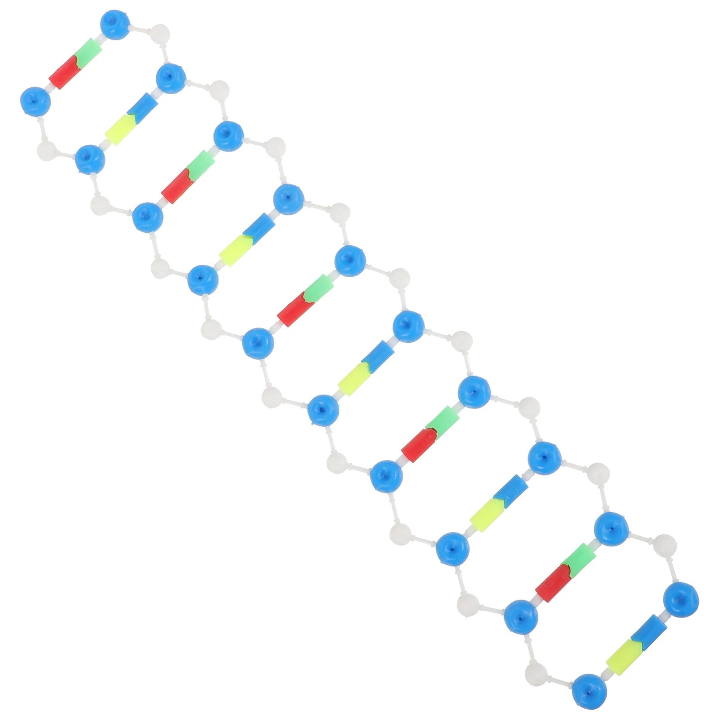 Dna Double Helix Model Components Assembling Stem Science Kits Molecular Aids Self-assembling