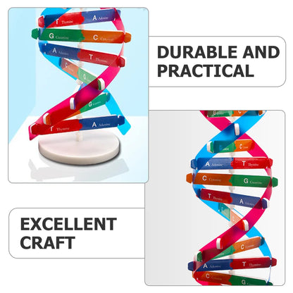 Teaching Aids Dna Double Helix Child Childrens Toys Model For Paper Science Models Educational Instrument