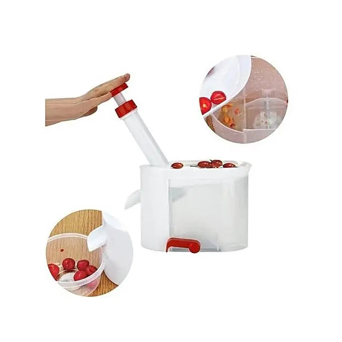 Core Seed Remover Fruit Stone Extractor