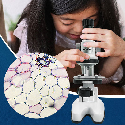 High Definition 1200x Microscope Toy Set Primary School Biological Science Experiment