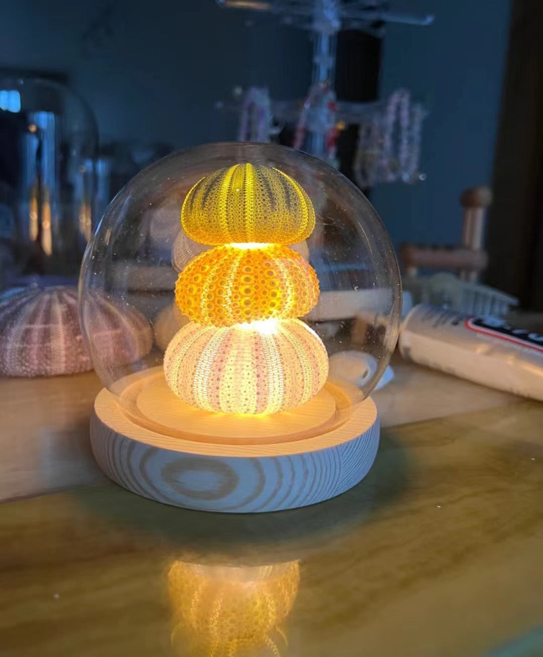 DIY Handmade Diy Luminous Sea Urchin Small Night Lamp