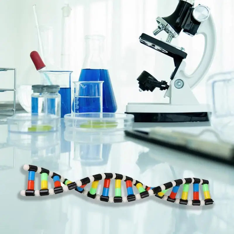 Molecular Model Kit Double Helix Structure Assembly DNA Model Preschool Science Toys Teaching Aids Learning And Educational Toys