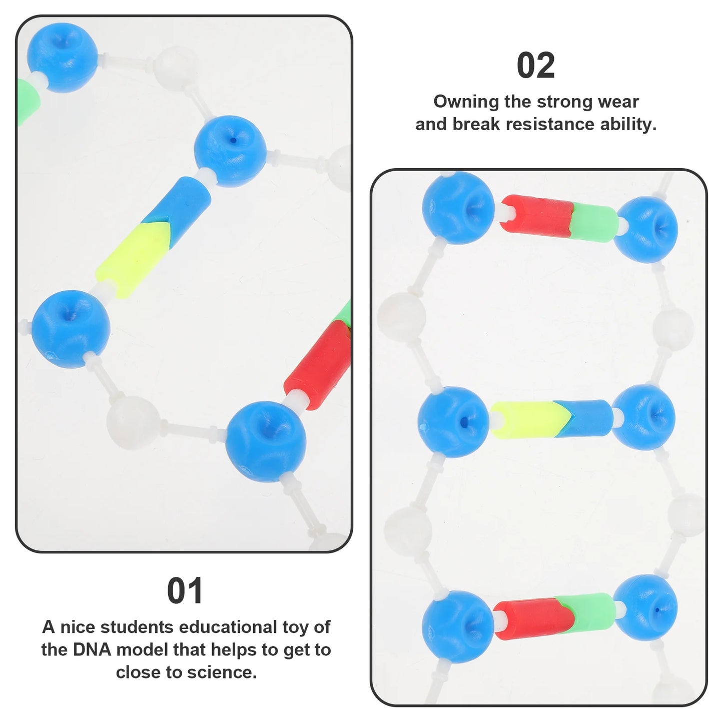 Dna Double Helix Model Components Aids Teaching Instrument Biological Science Body