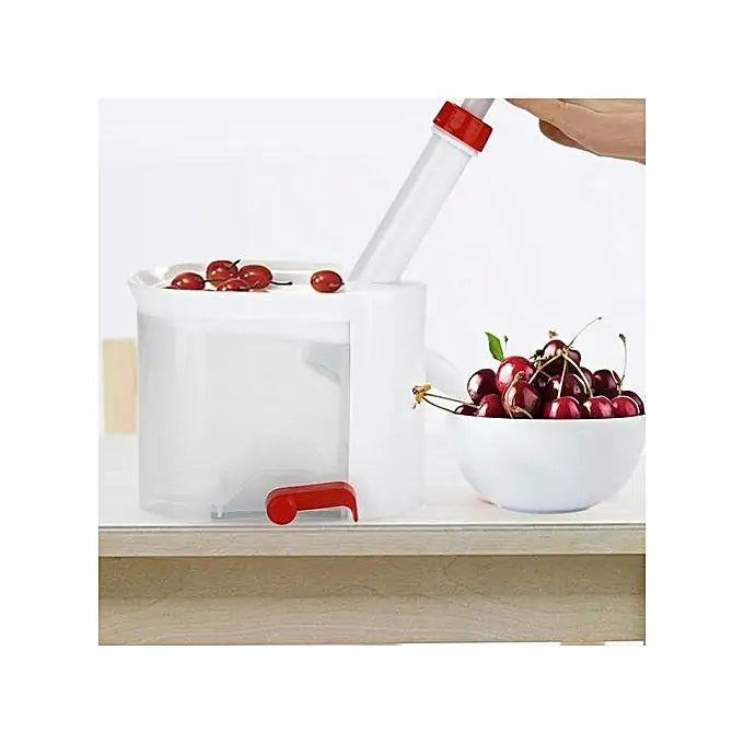 Core Seed Remover Fruit Stone Extractor