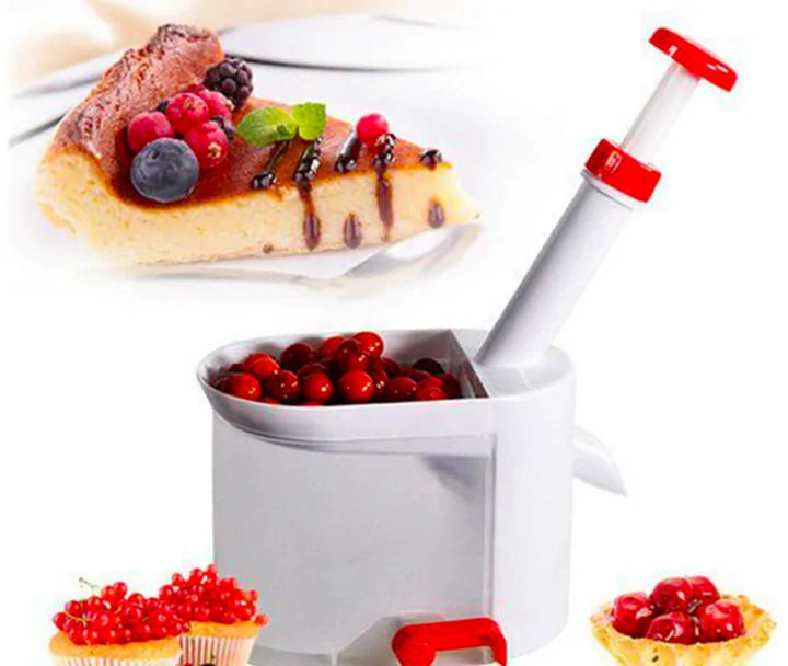 Core Seed Remover Fruit Stone Extractor