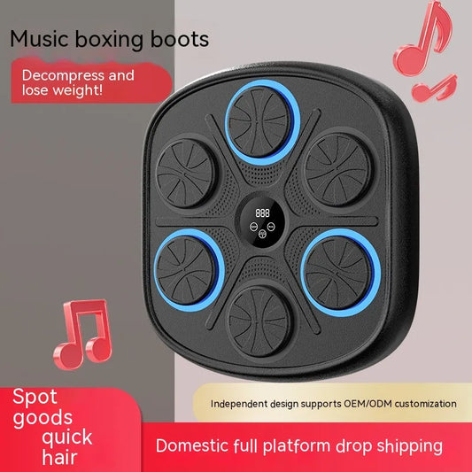 Rhythm Boxing Wall Trainer