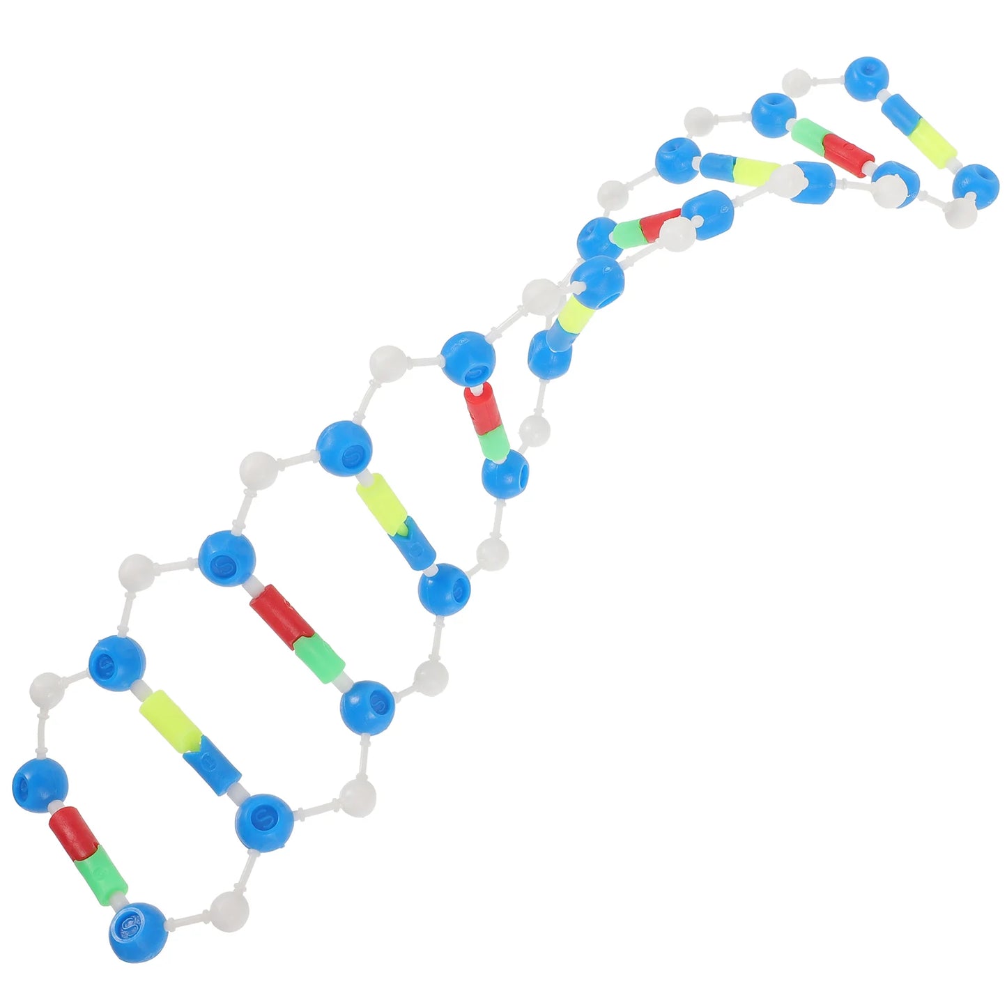 Dna Double Helix Model Components Aids Teaching Instrument Biological Science Body