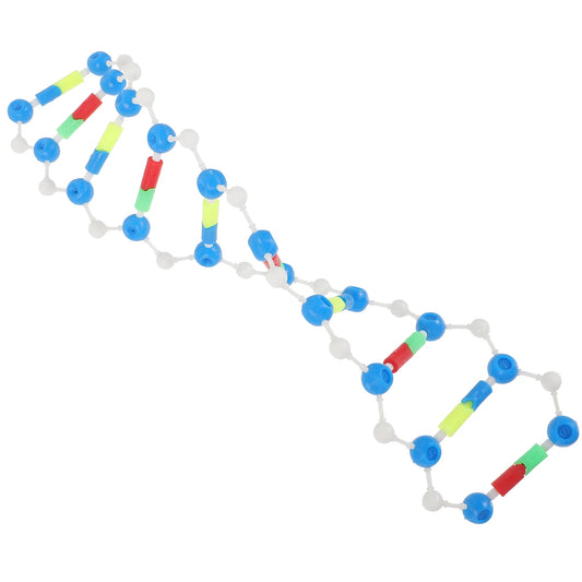 Dna Double Helix Model Components Assembling Stem Science Kits Molecular Aids Self-assembling