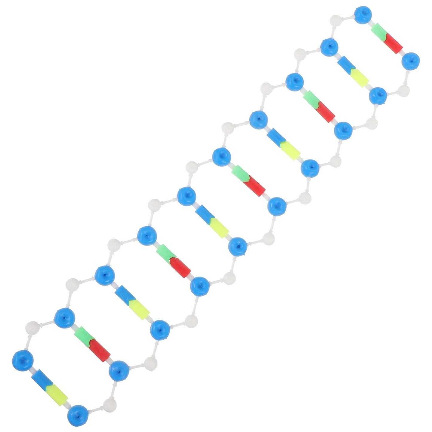 Dna Double Helix Model Components Aids Teaching Instrument Biological Science Body