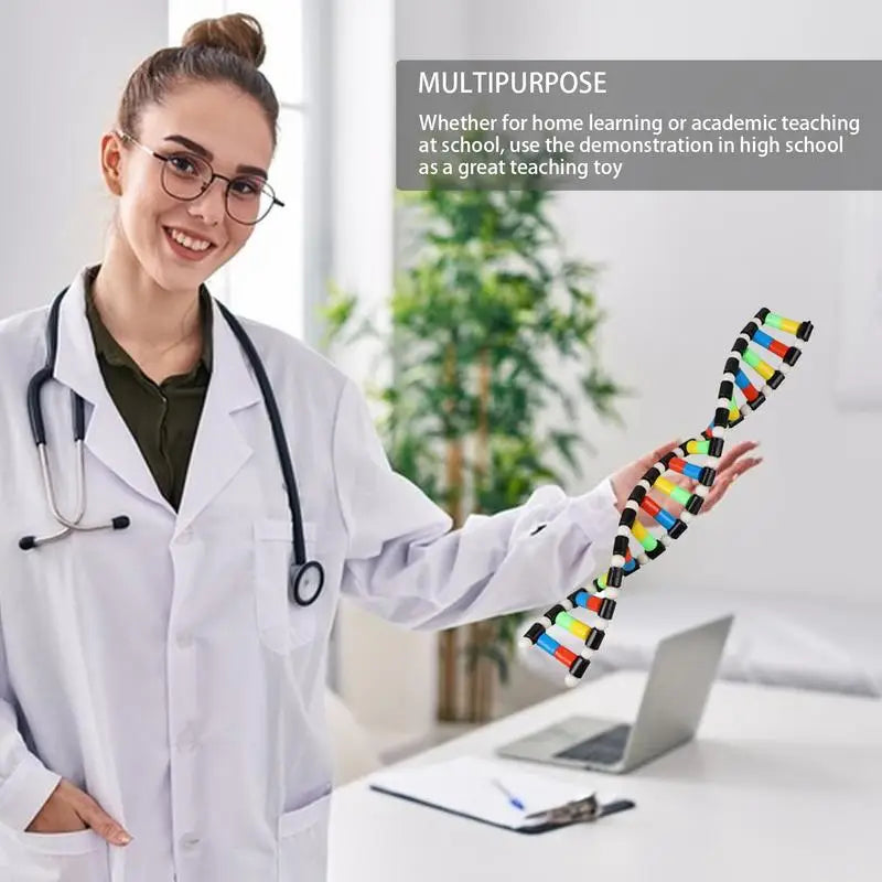 Molecular Model Kit Double Helix Structure Assembly DNA Model Preschool Science Toys Teaching Aids Learning And Educational Toys