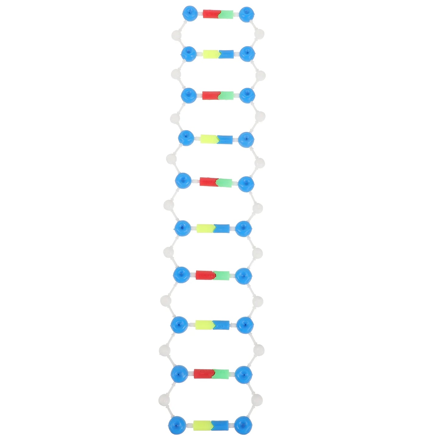 Dna Double Helix Model Components Aids Teaching Instrument Biological Science Body