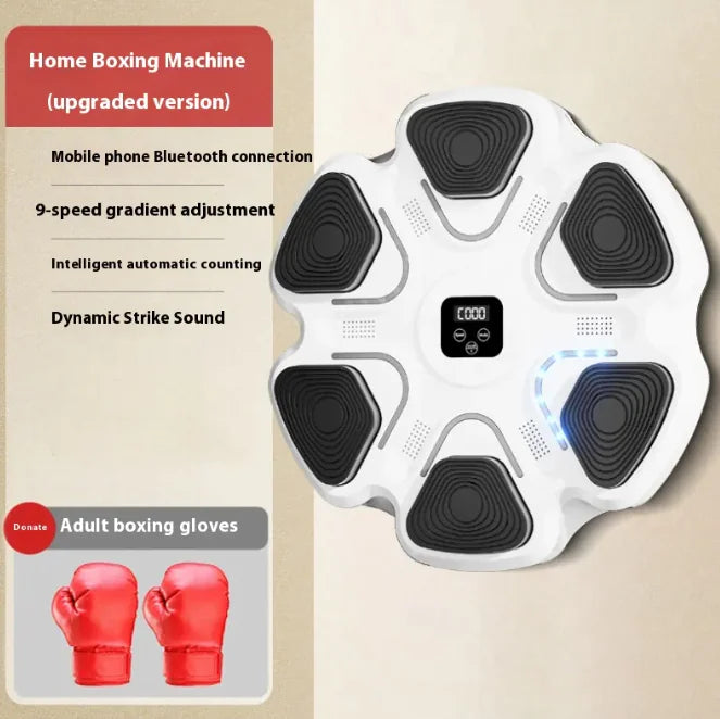 Smart Boxing Target