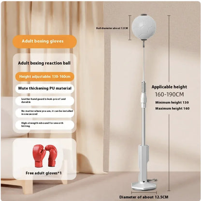 Boxing Rapid Response Ball Indoor Vertical